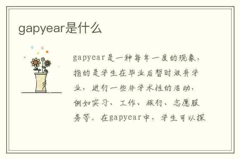 gapyear是什么(gapyear是什么意思英语)